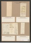 Pleurosigma fasciola (Ehr.) W.Sm. (de-Toni-Nr.: Genus 13, Species 1089) Zeichnungen Sammlung Grunow Nr. 2117 (NHMW-BOT-W0369149)